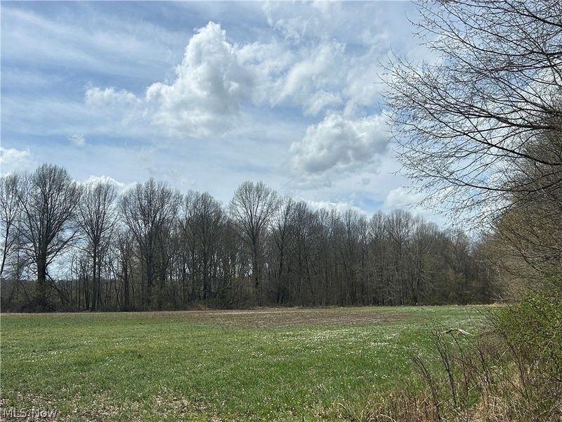 Flagdale, Junction City, OH 43748 Photo 8