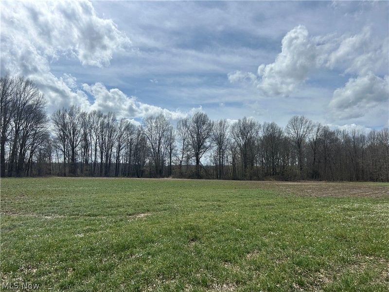 Flagdale, Junction City, OH 43748 Photo 9