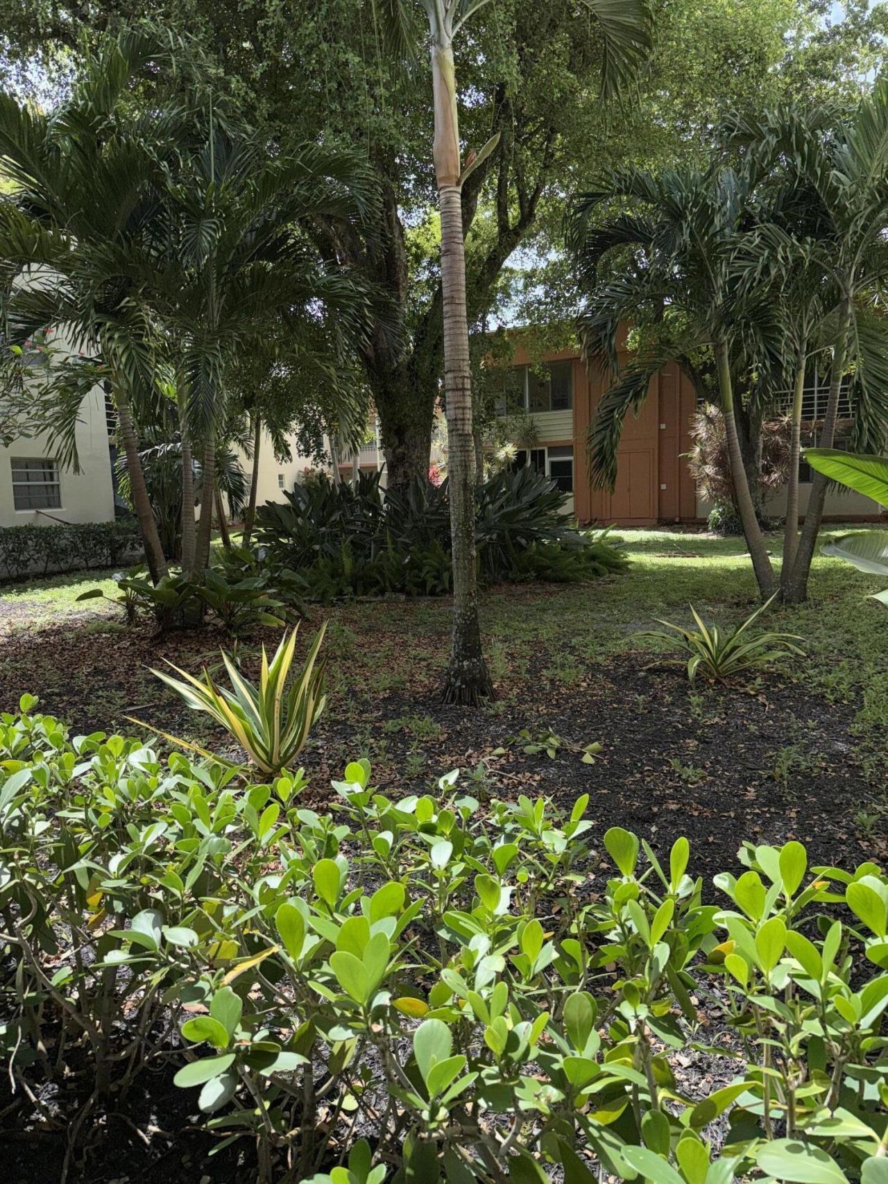 154 Piedmont D, Delray Beach, FL 33484 Photo