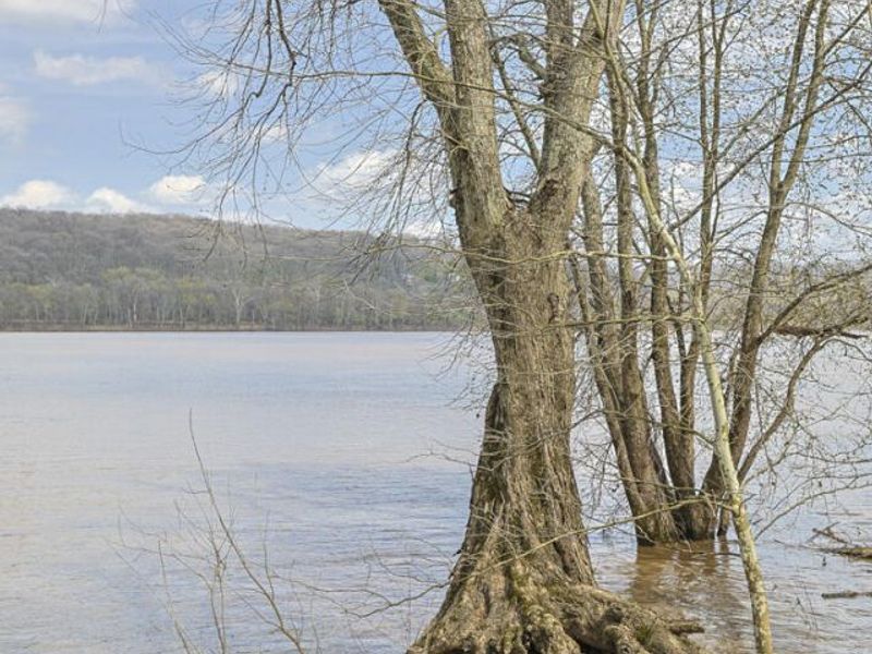 4068 Fry Street, Melbourne, KY 41059 Photo 43