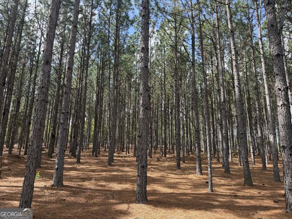 012 Barge Road, Lumpkin, GA 31815