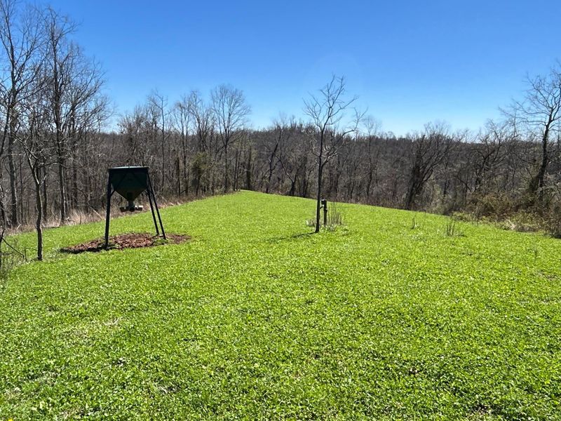 Crown City, OH 45623 Photo 21