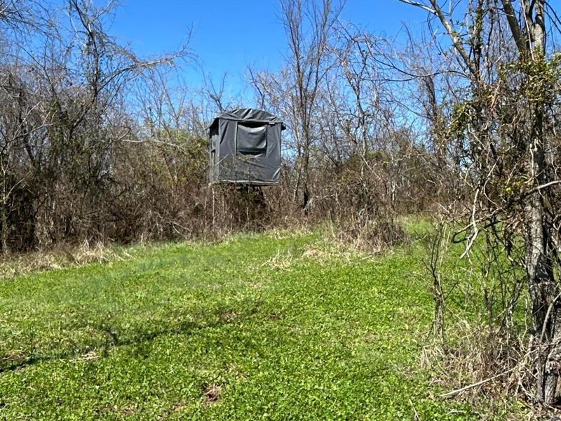 Crown City, OH 45623 Photo 22