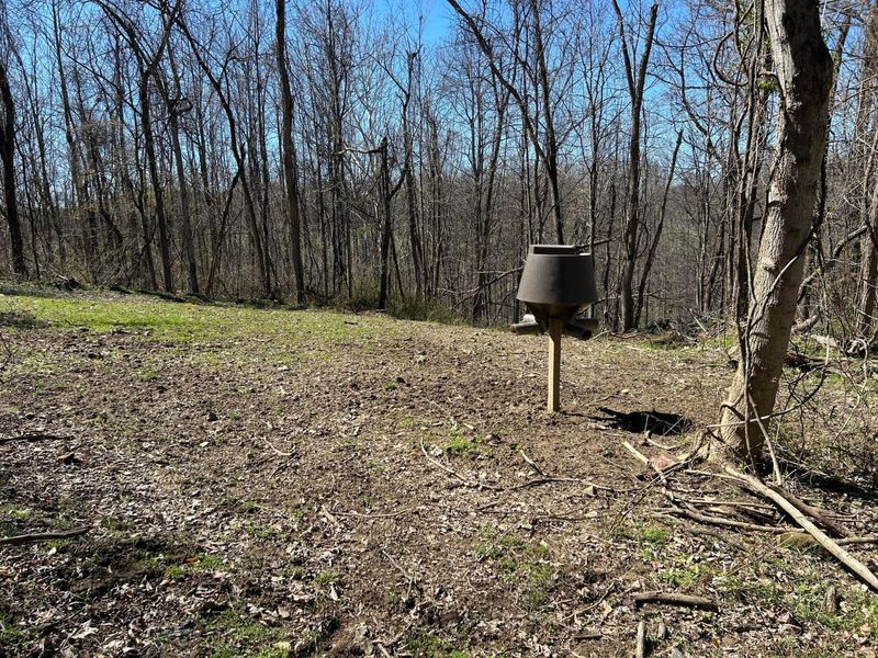 Crown City, OH 45623 Photo 23