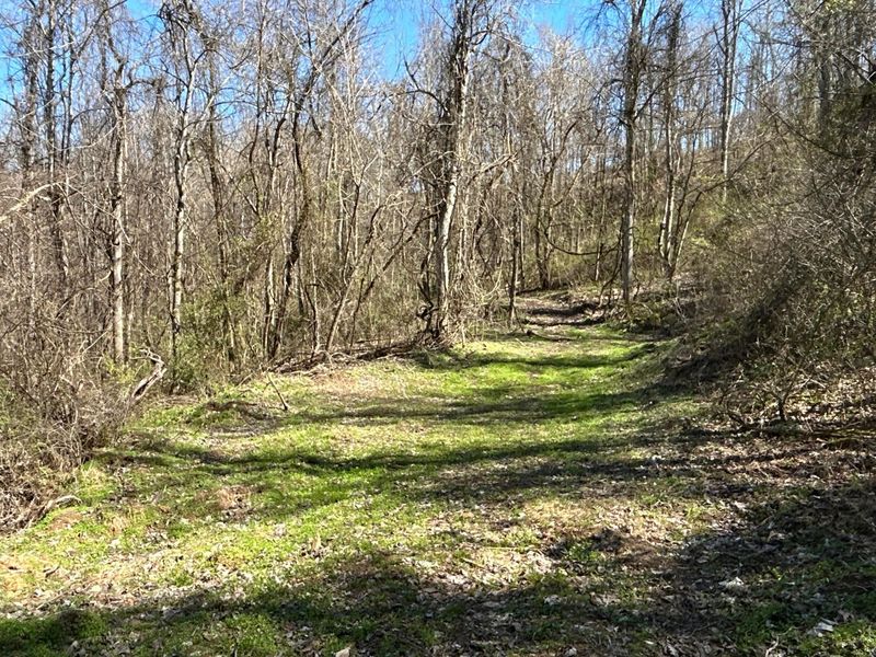 Crown City, OH 45623 Photo 24