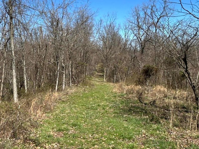 Crown City, OH 45623 Photo 25