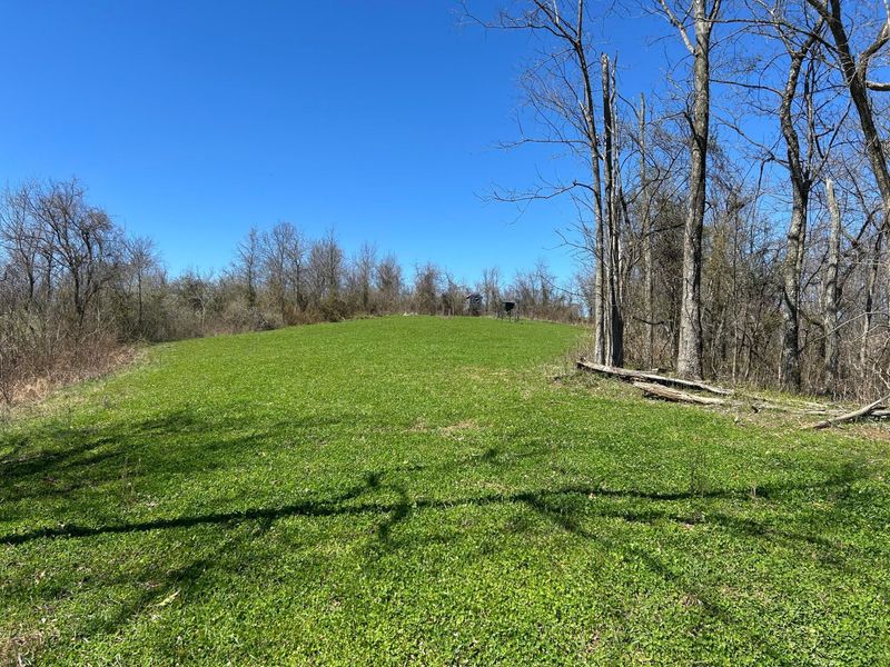 Crown City, OH 45623 Photo 26