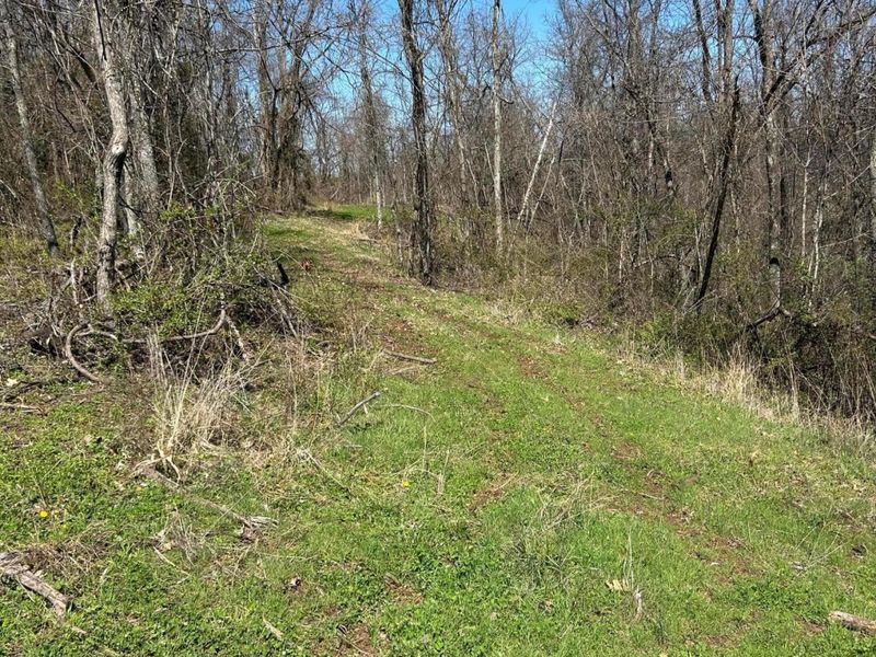 Crown City, OH 45623 Photo 27