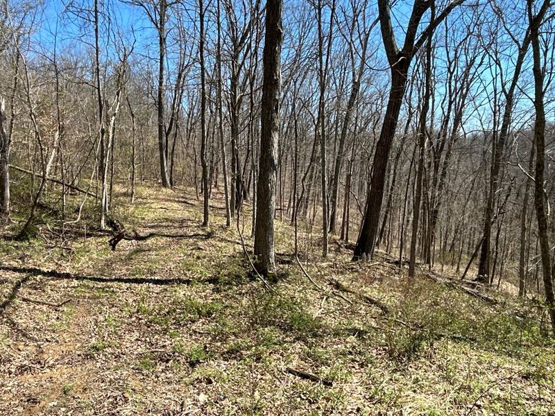 Crown City, OH 45623 Photo 28