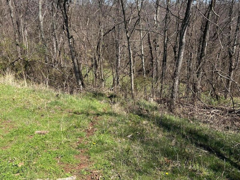 Crown City, OH 45623 Photo 29