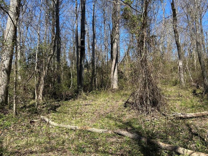 Crown City, OH 45623 Photo 30