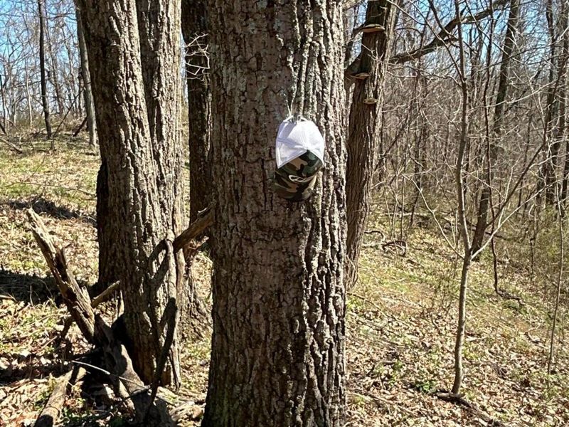 Crown City, OH 45623 Photo 31