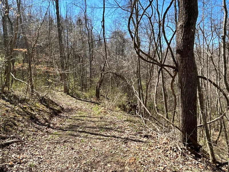 Crown City, OH 45623 Photo 32