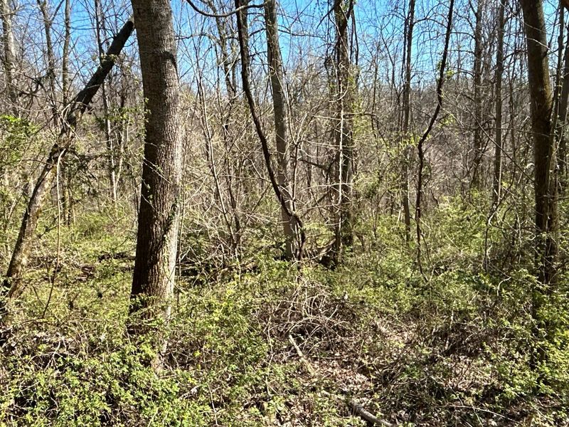 Crown City, OH 45623 Photo 33