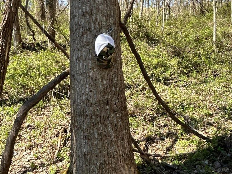 Crown City, OH 45623 Photo 34