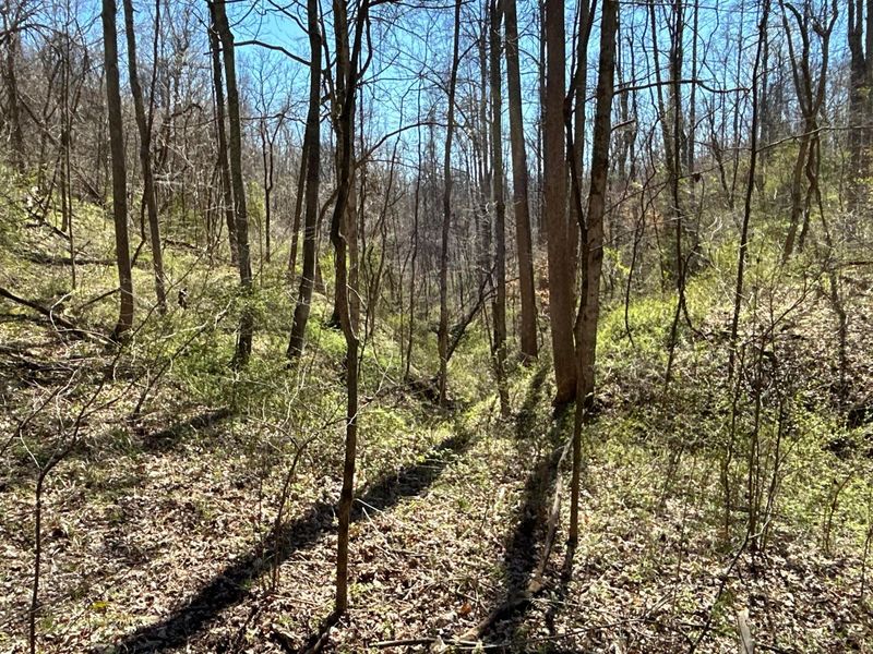 Crown City, OH 45623 Photo 35