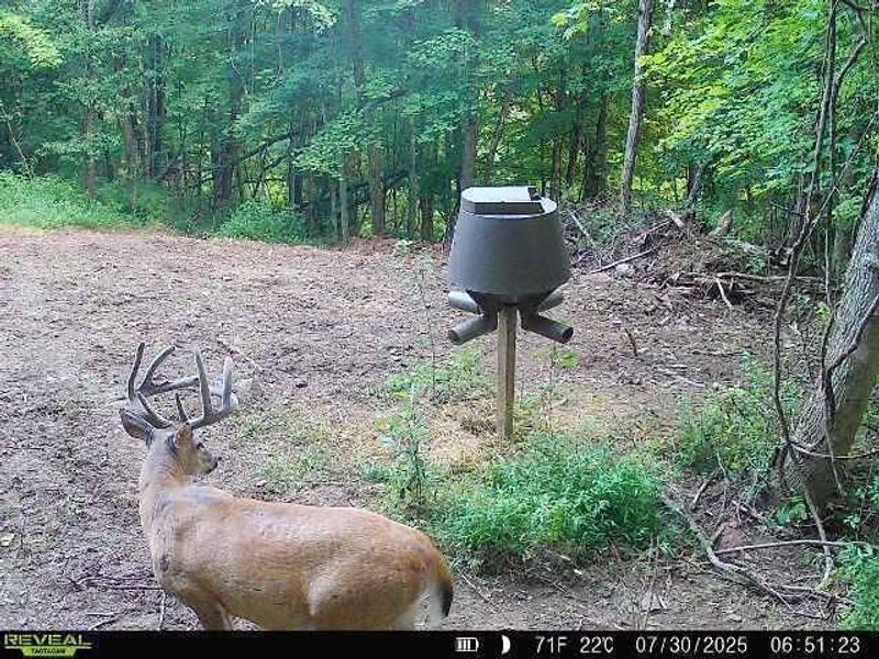 Crown City, OH 45623 Photo 36