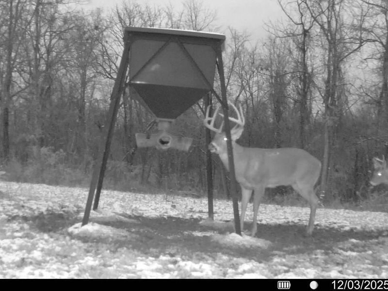 Crown City, OH 45623 Photo 37