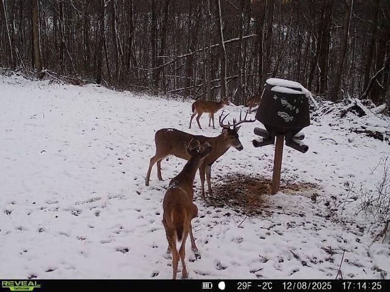 Crown City, OH 45623 Photo 38