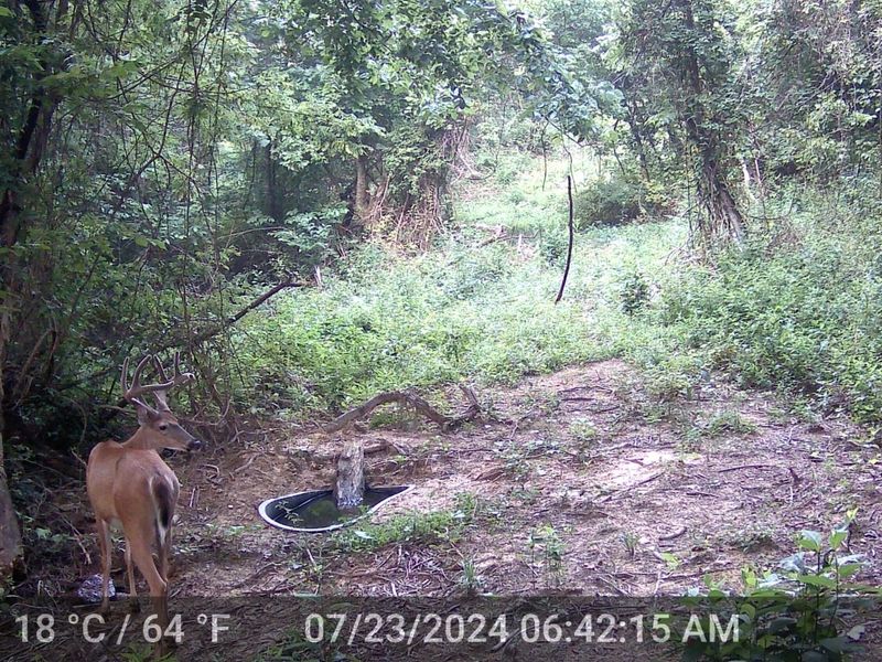 Crown City, OH 45623 Photo 40