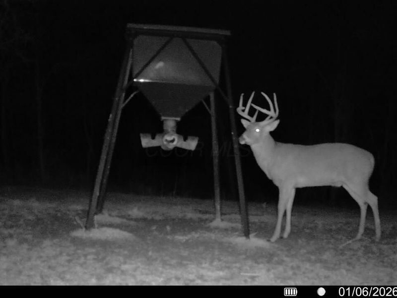 Crown City, OH 45623 Photo 41