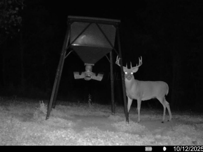 Crown City, OH 45623 Photo 44