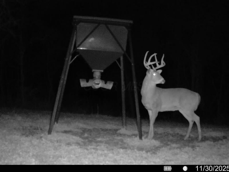 Crown City, OH 45623 Photo 45