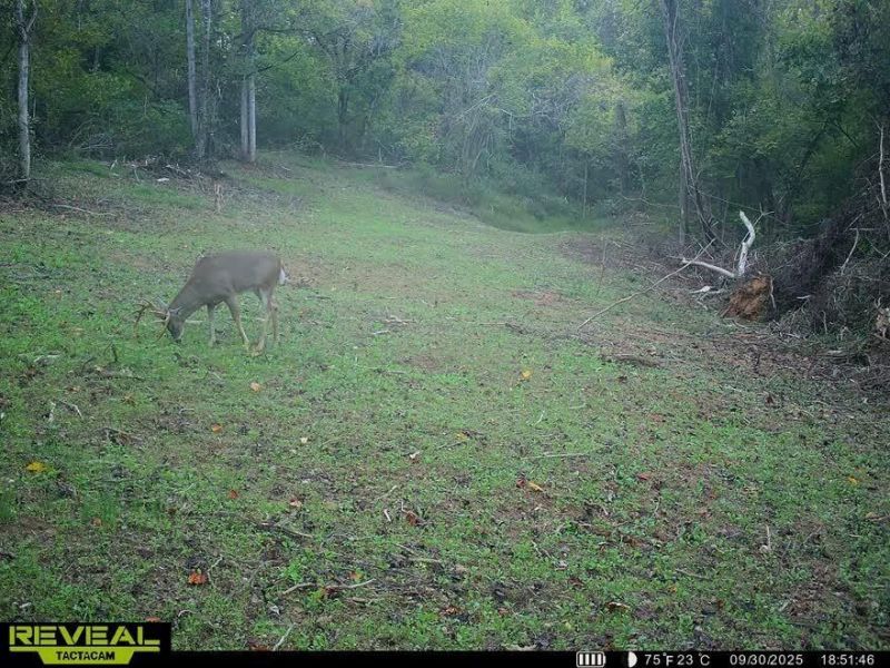 Crown City, OH 45623 Photo 51