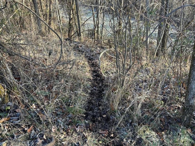 Crown City, OH 45623 Photo 52