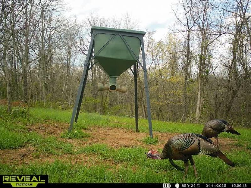 Crown City, OH 45623 Photo 53