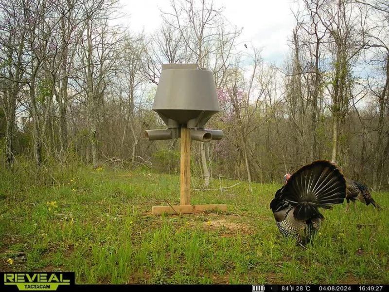 Crown City, OH 45623 Photo 54