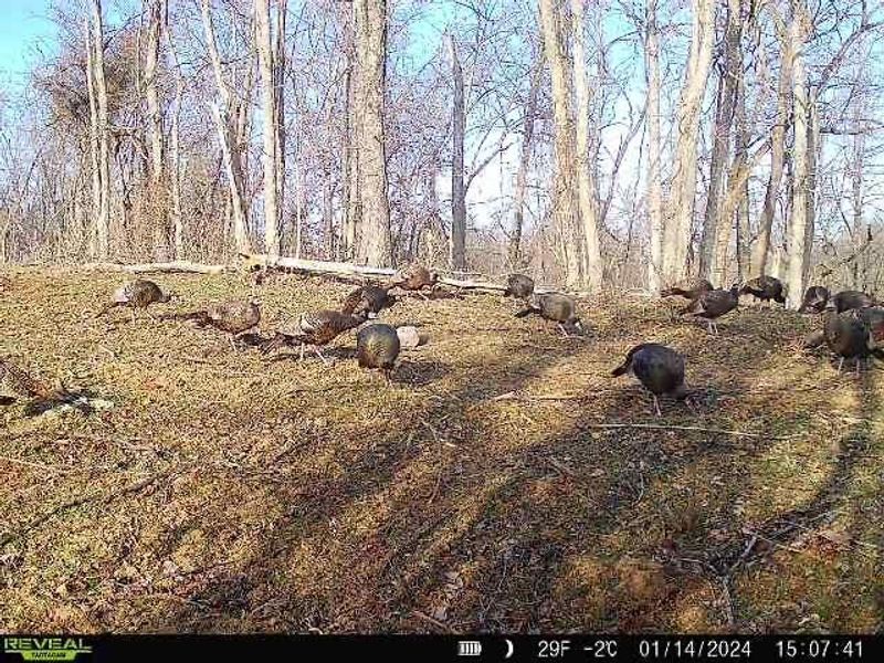 Crown City, OH 45623 Photo 55