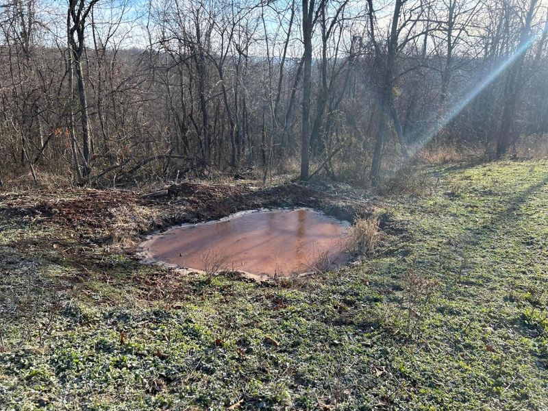 Crown City, OH 45623 Photo 57