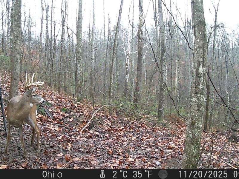 Crown City, OH 45623 Photo 60