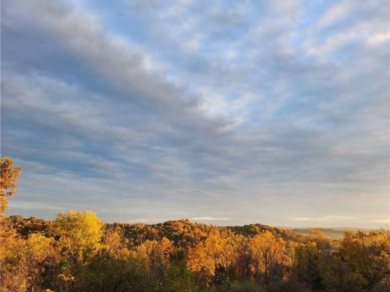 64446 Erie Road, Salesville, OH 43778 Photo 27