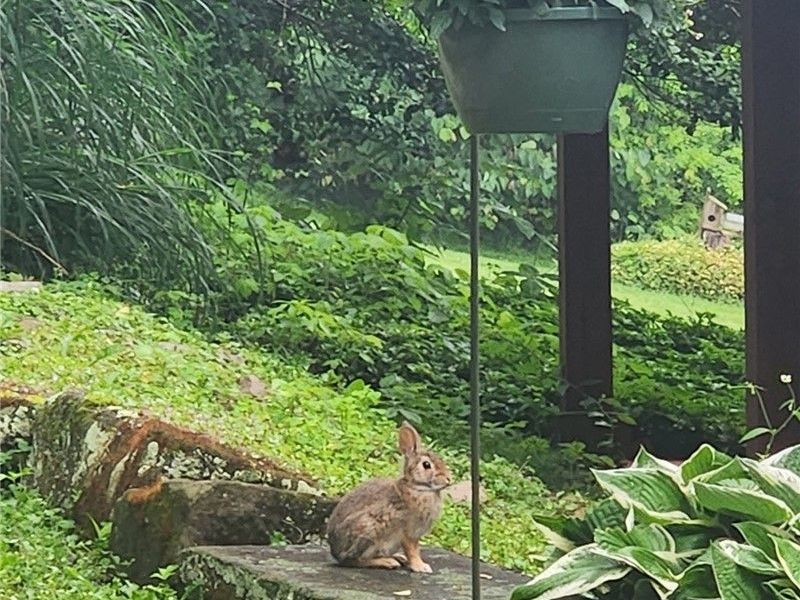 64446 Erie Road, Salesville, OH 43778 Photo 28