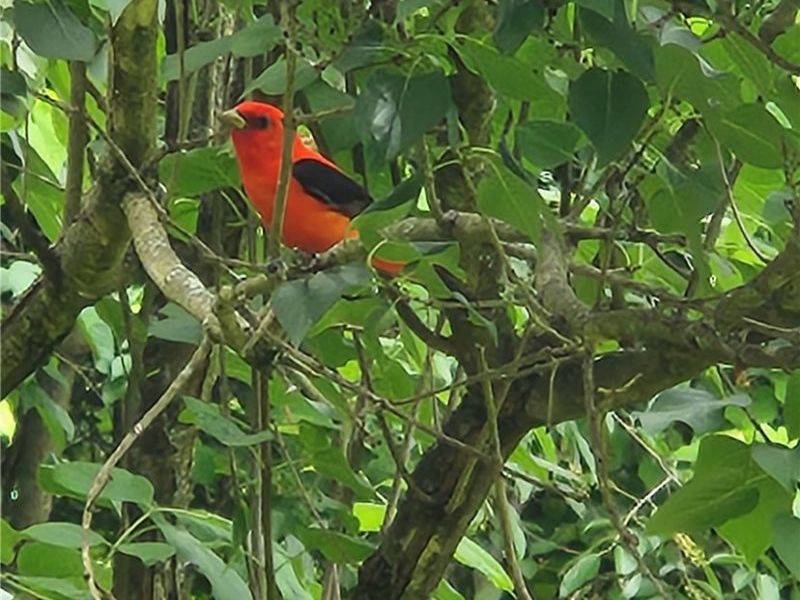 64446 Erie Road, Salesville, OH 43778 Photo 29