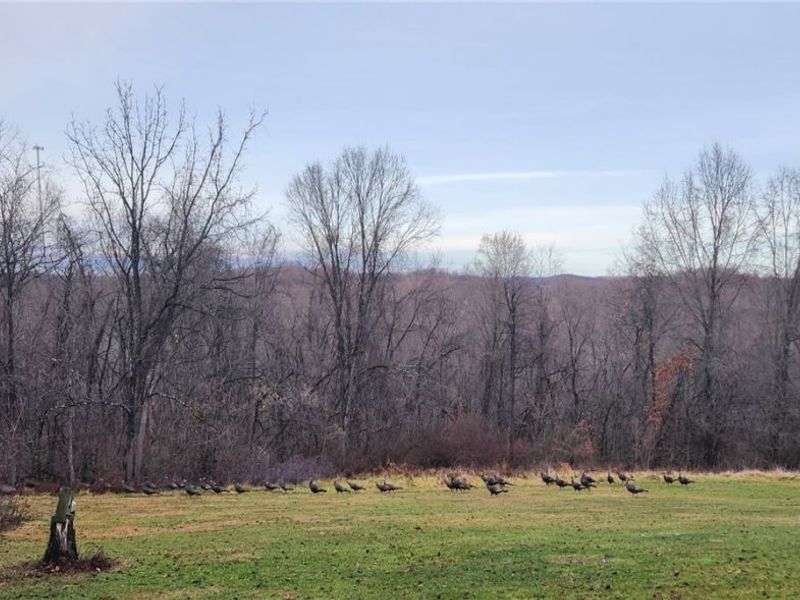 64446 Erie Road, Salesville, OH 43778 Photo 30