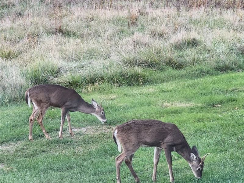 64446 Erie Road, Salesville, OH 43778 Photo 31