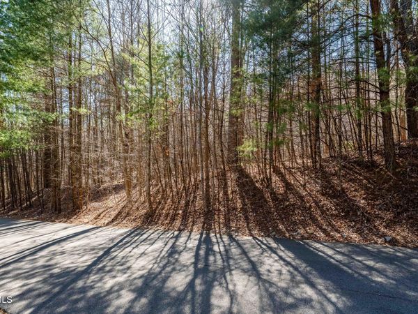 Lot 39 Bear Ridge Drive, Butler, TN 37640