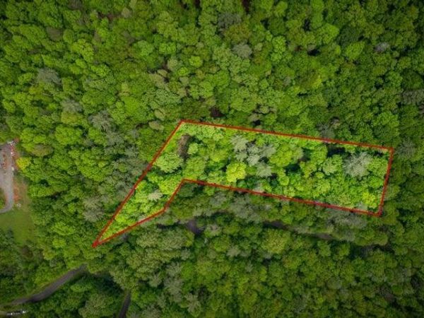 Tbd Norris Road, Butler, TN 37640