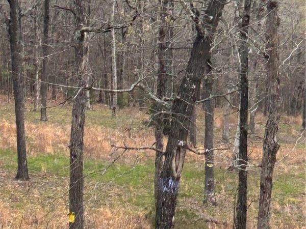 6563 Madison 2340 , Huntsville, AR 72704