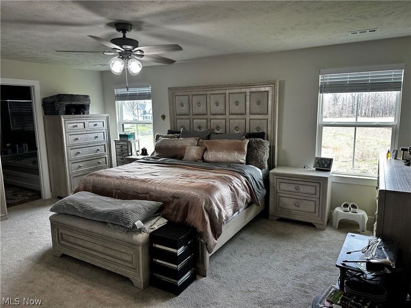 5358 Walnut Ridge Lane, Sheffield Lake, OH 44054 Photo 6