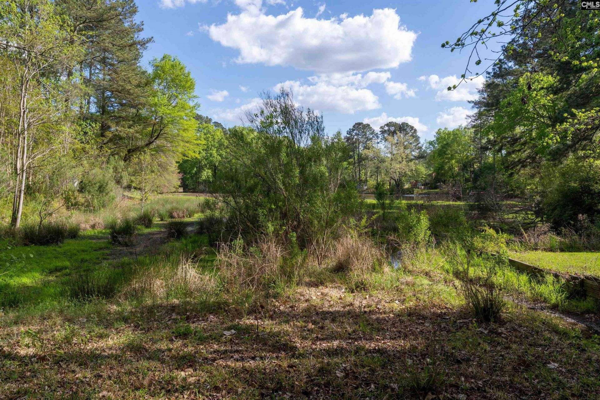 417 White Falls Dr  Photo 41