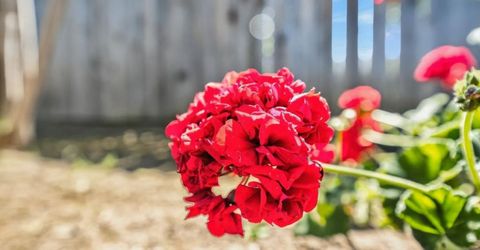 2108 56th Ave, Sacramento, CA 95822 Photo