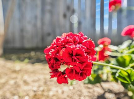 2108 56th Ave, Sacramento, CA 95822 Photo