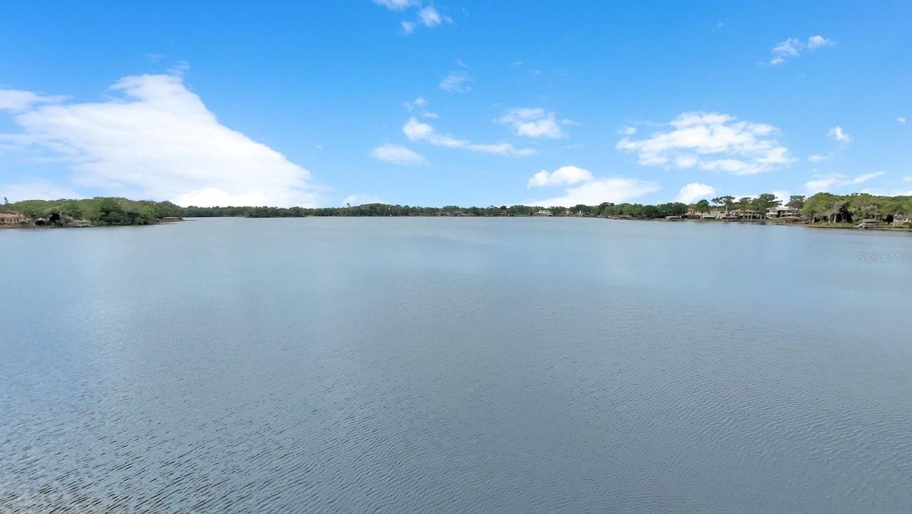 2820 Bear Island Pointe, Winter Park, FL 32792 Photo