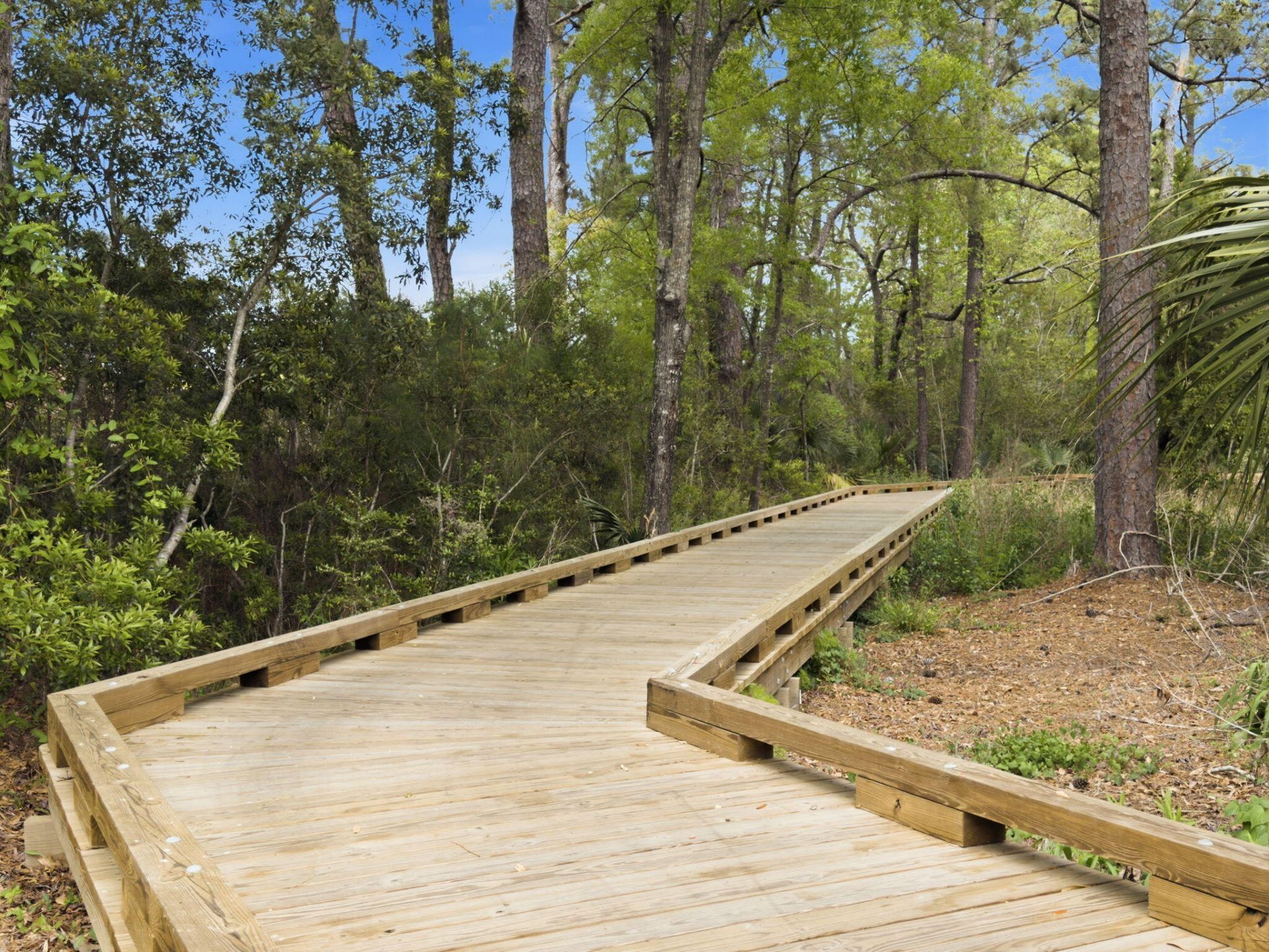 222 Port Tack Drive Photo 42