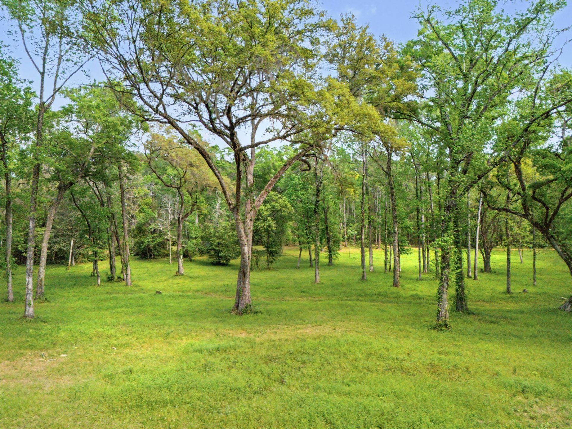 3306 Gallant Fox Trail, Tallahassee, FL 32309 Photo