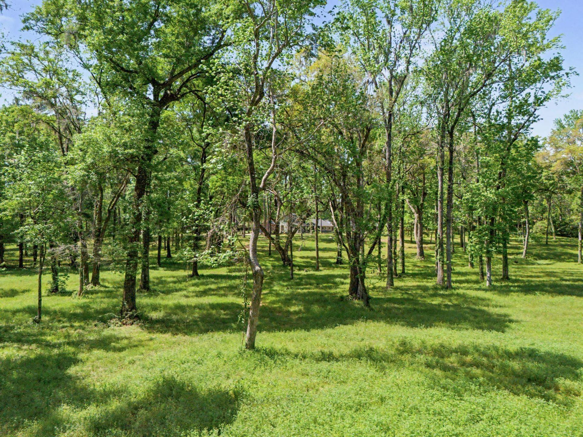 3306 Gallant Fox Trail, Tallahassee, FL 32309 Photo